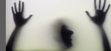 banner1