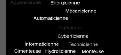Pour intégrer le genre dans la formation professionnelle. Un guide à l